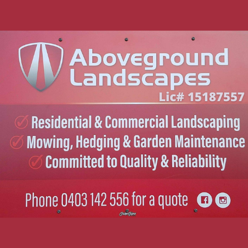 Aboveground Landscapes