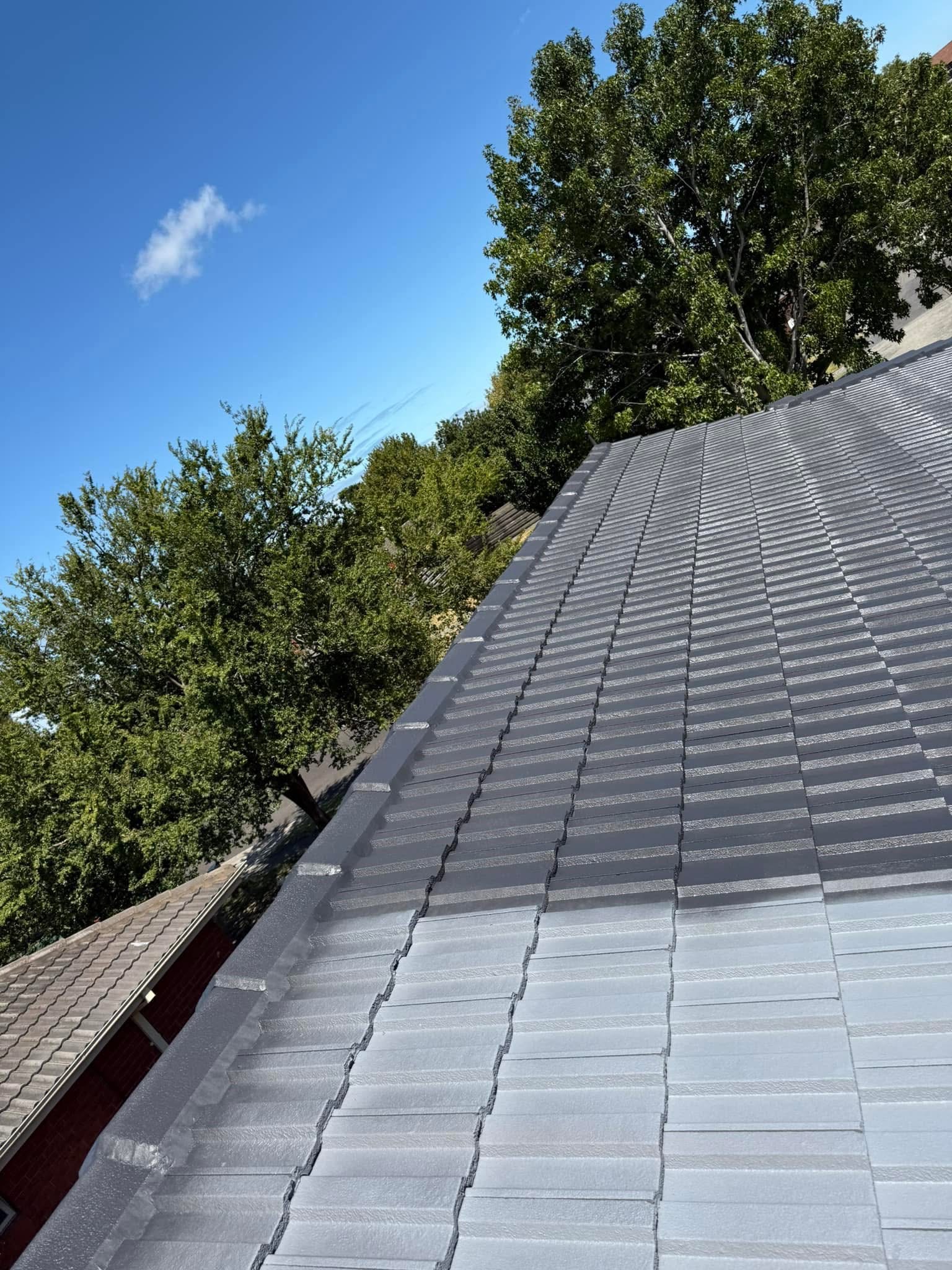 Advance Roof Care and painting
