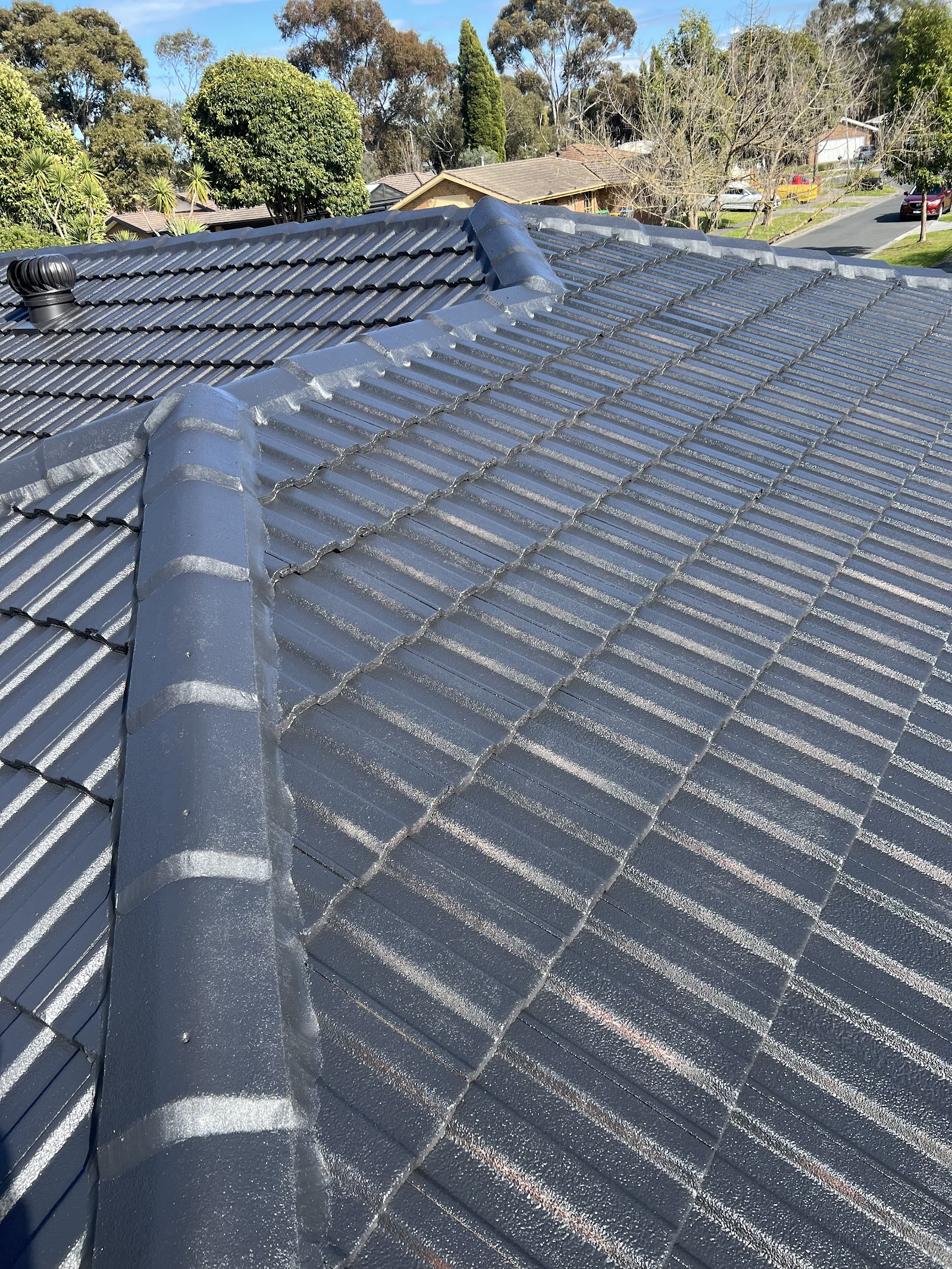 Ahu Roof Restoration Cleaning Painting Flexible Repointing Guttering replacement