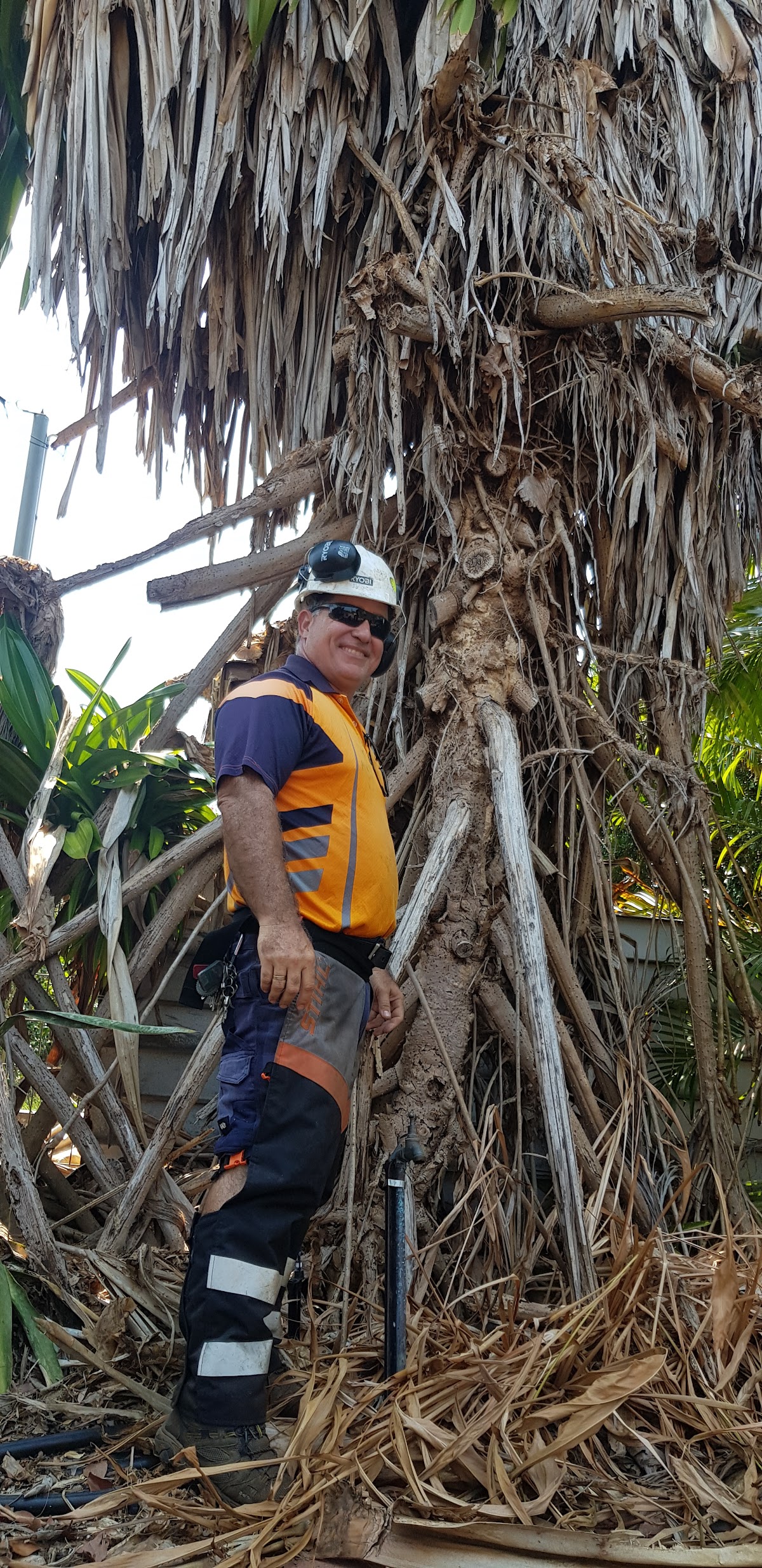 All About Garden Care Darwin