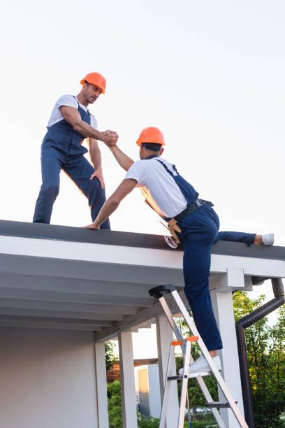 All City Roofing And Repairs