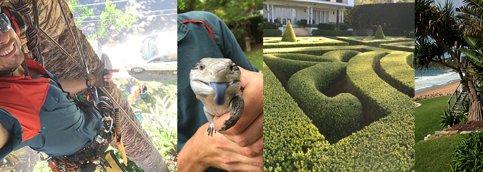 Always Greener Garden Care