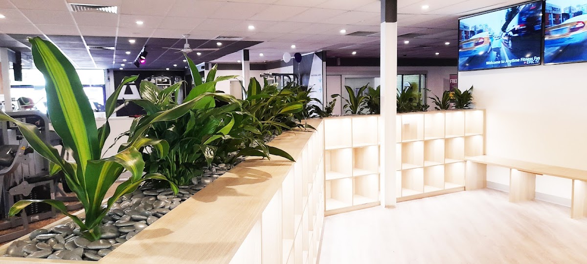 Ambius Indoor Plants Canberra