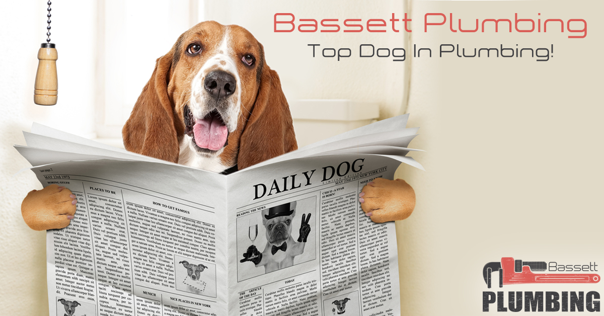 Bassett Plumbing