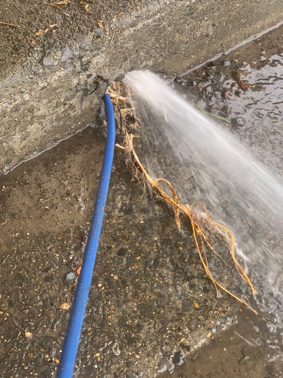 Budget Draining and Plumbing