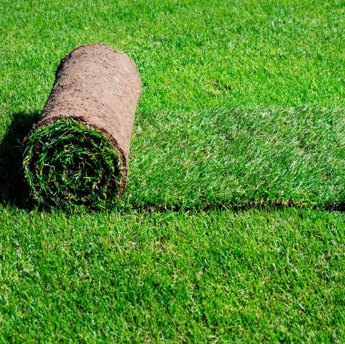 Budget Landscaping and Supplies
