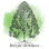 Bunya Gardens