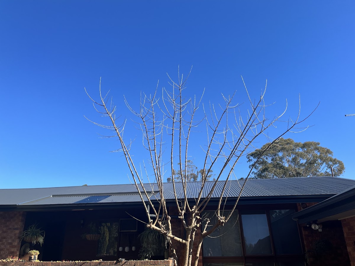 Campbelltown Macathur Guttering & Roofing