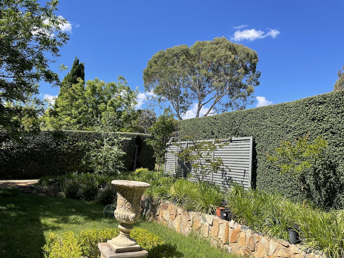 Canberra Hedge and Lawn