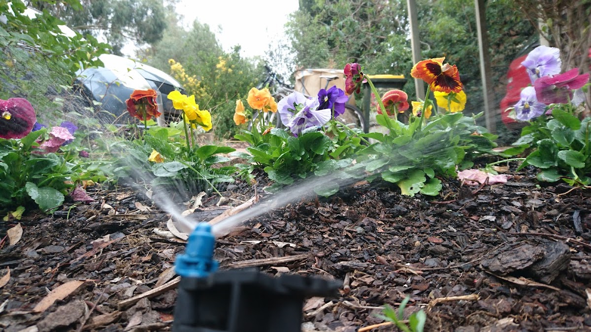 Canberra Irrigation
