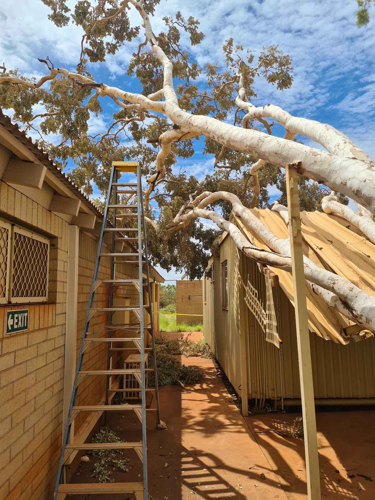 CFC - Customer First Contracting