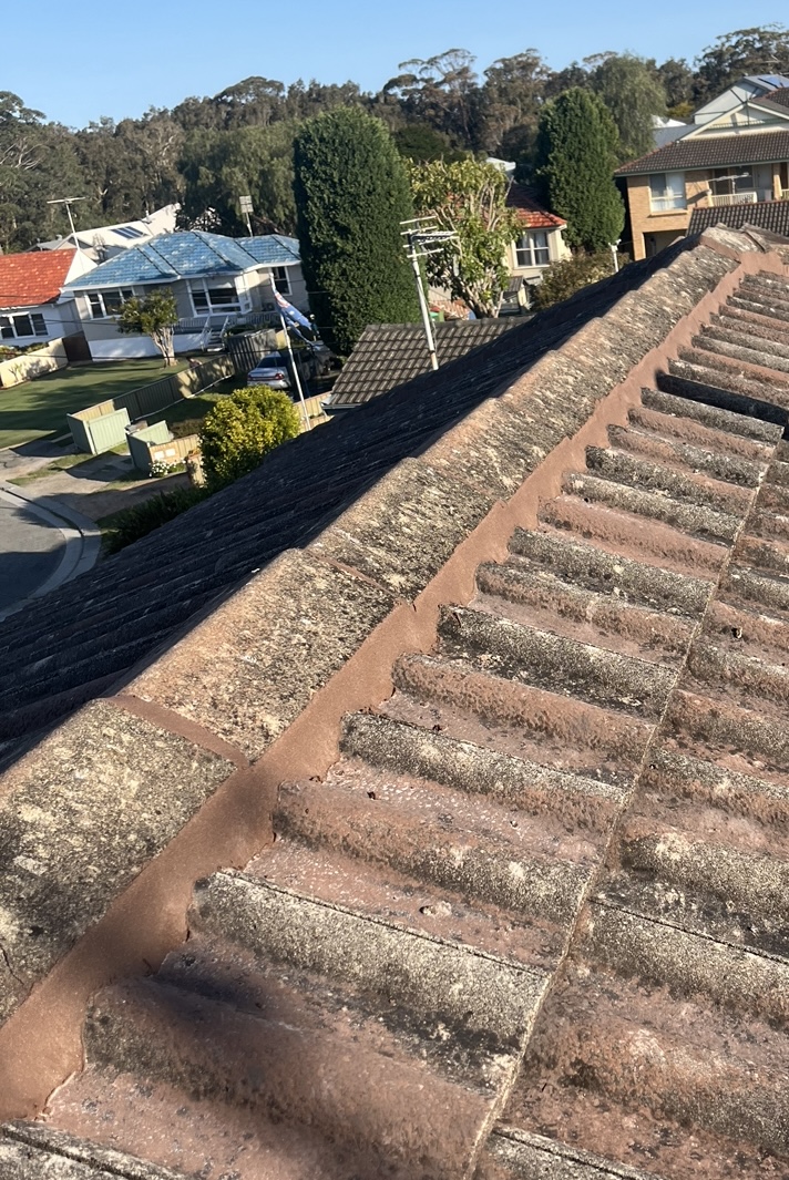 Coastal Roofing Repairs