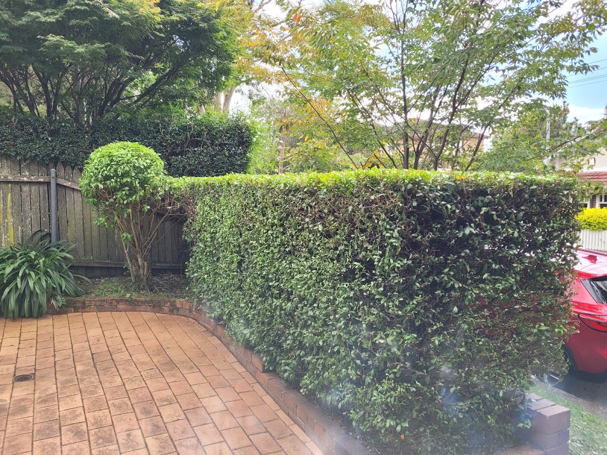 CocoLandscape