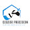Colour precision painting services pty ltd