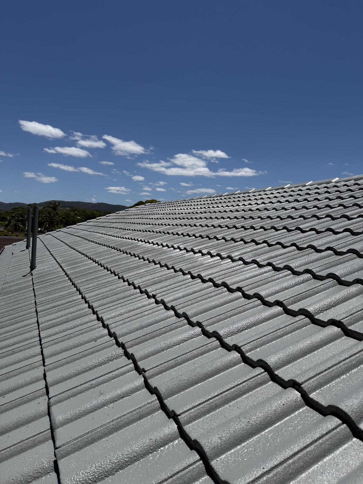 ColourMe Painting Roof Restoration