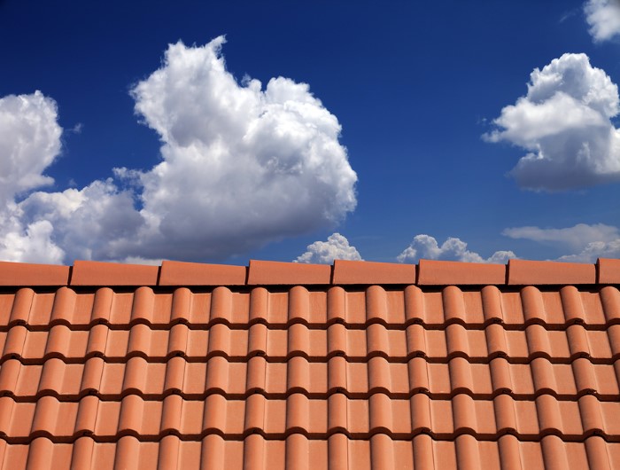 Complete Roof Protection