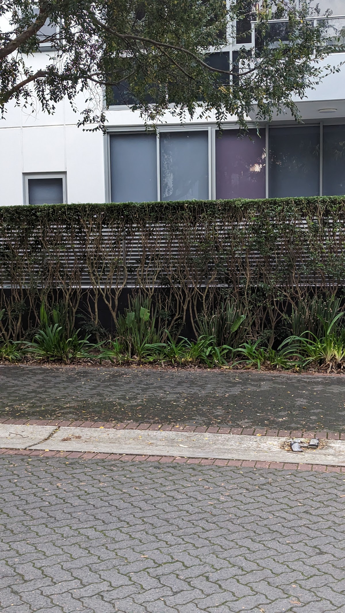 Creating Green Landscapes
