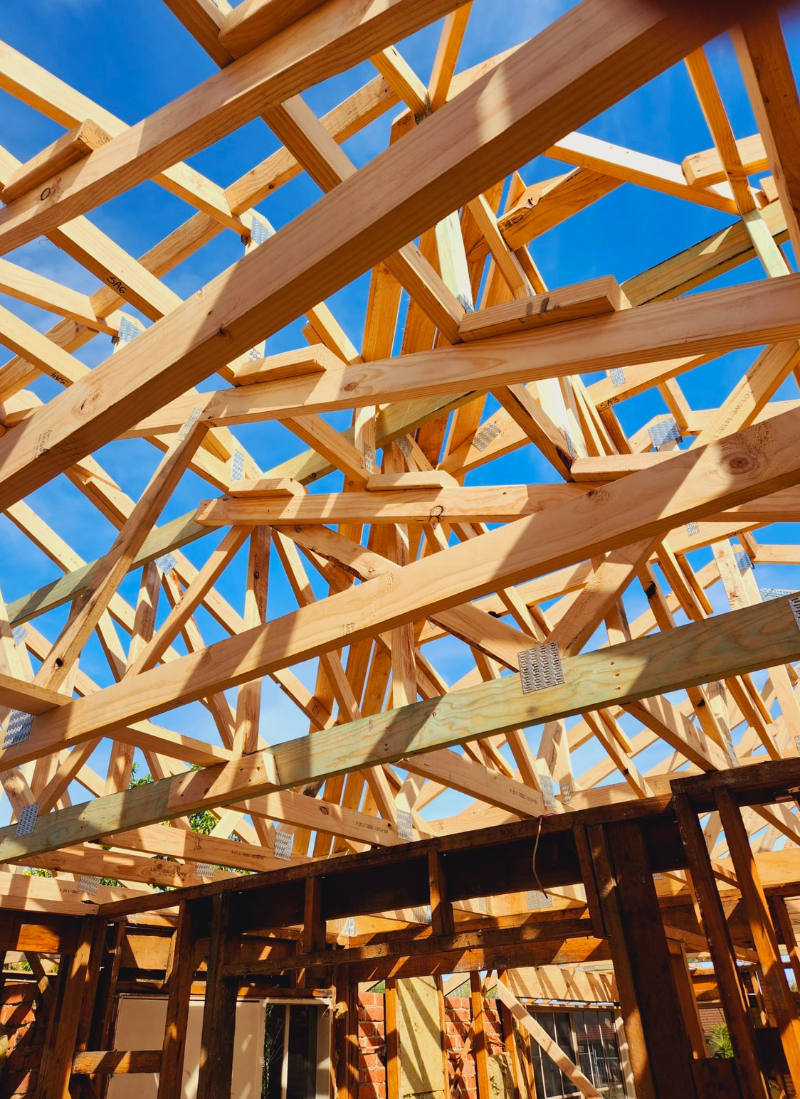 Datum Carpentry