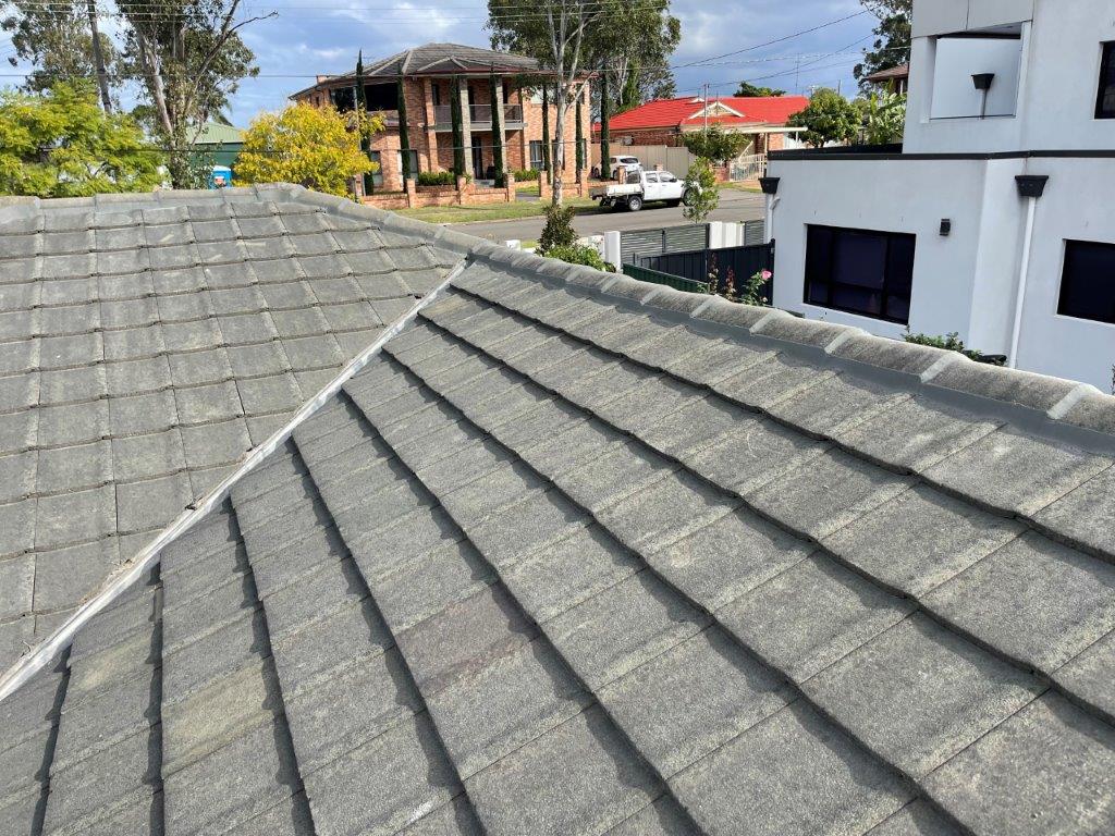 Davlan Roof Tiling and Repairs