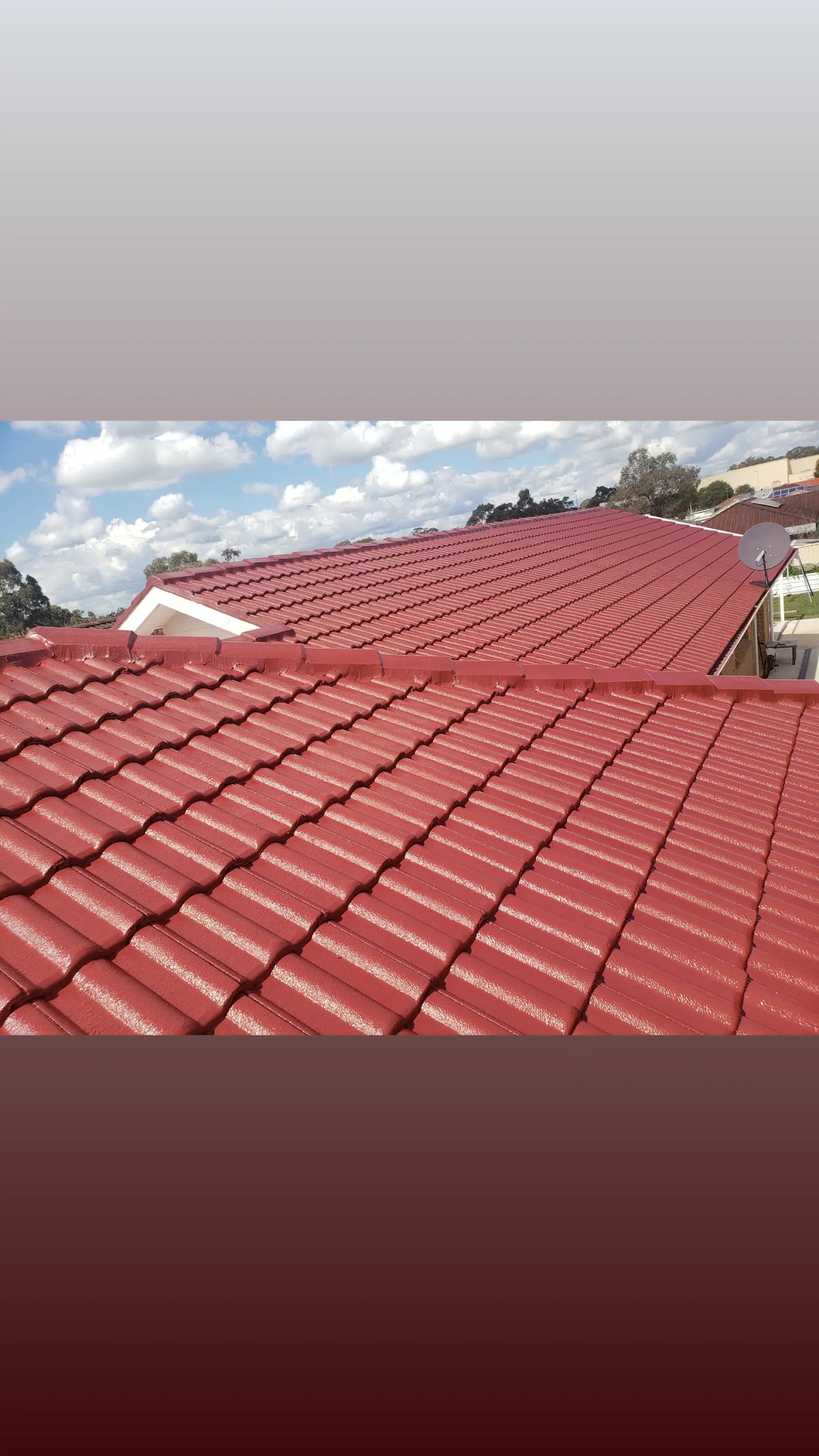 DayLuxe roof painting and repair