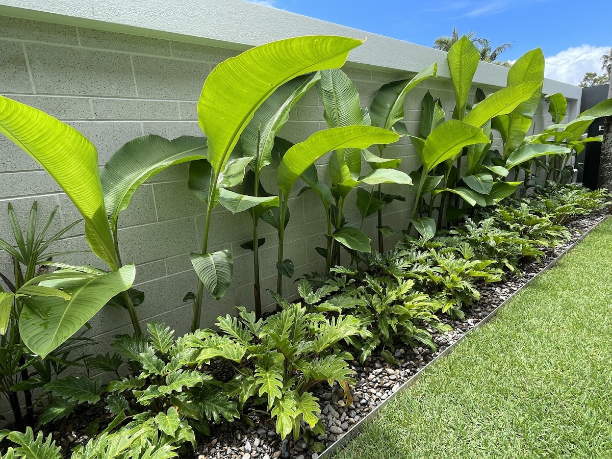 DCM Landscaping