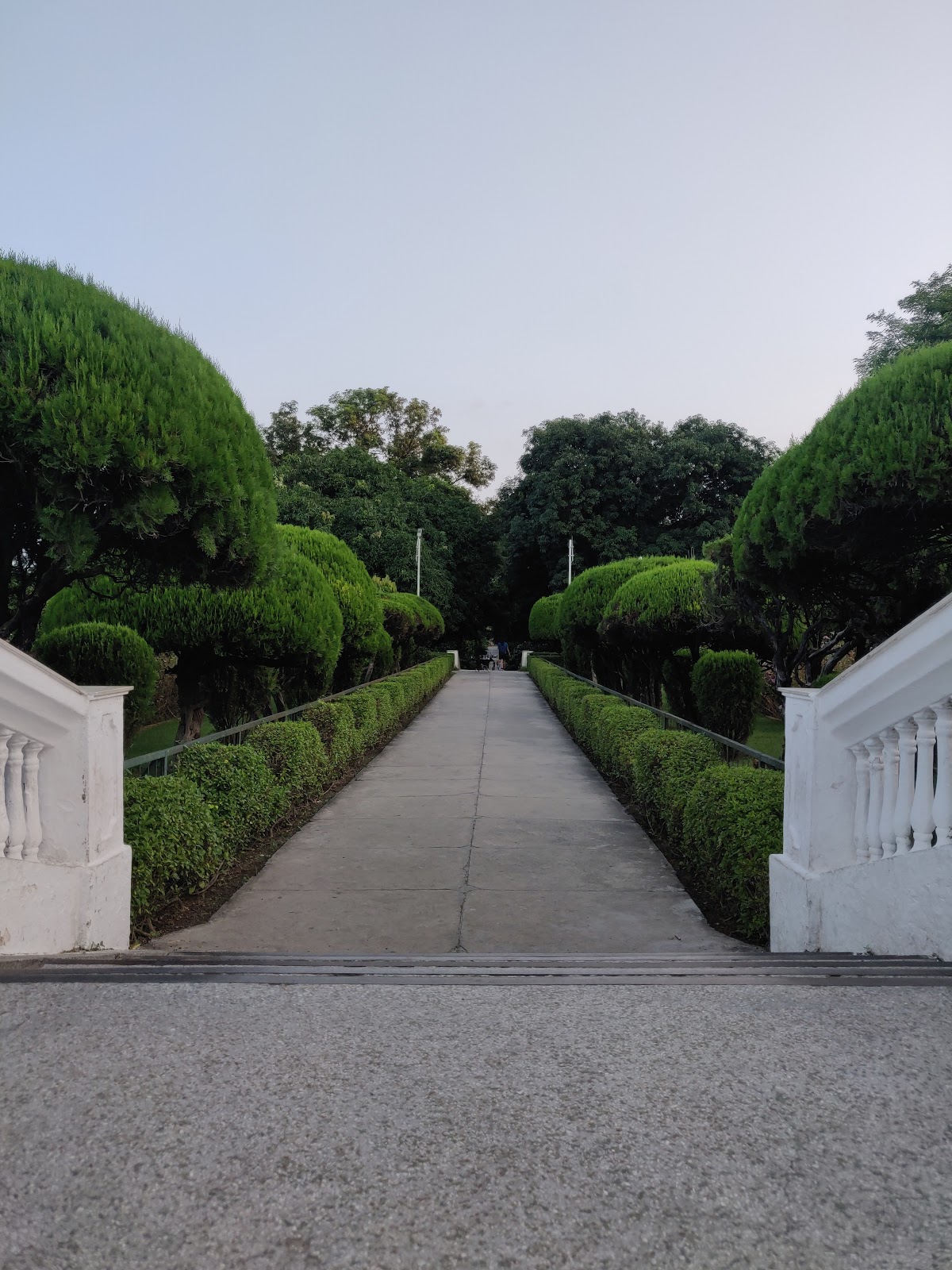 DG. Gardens