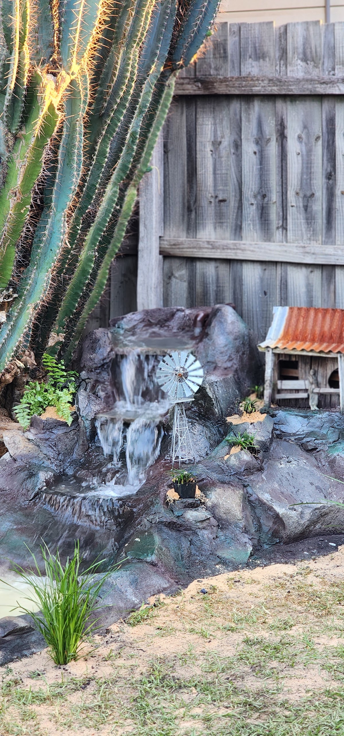 Domexic Landscaping