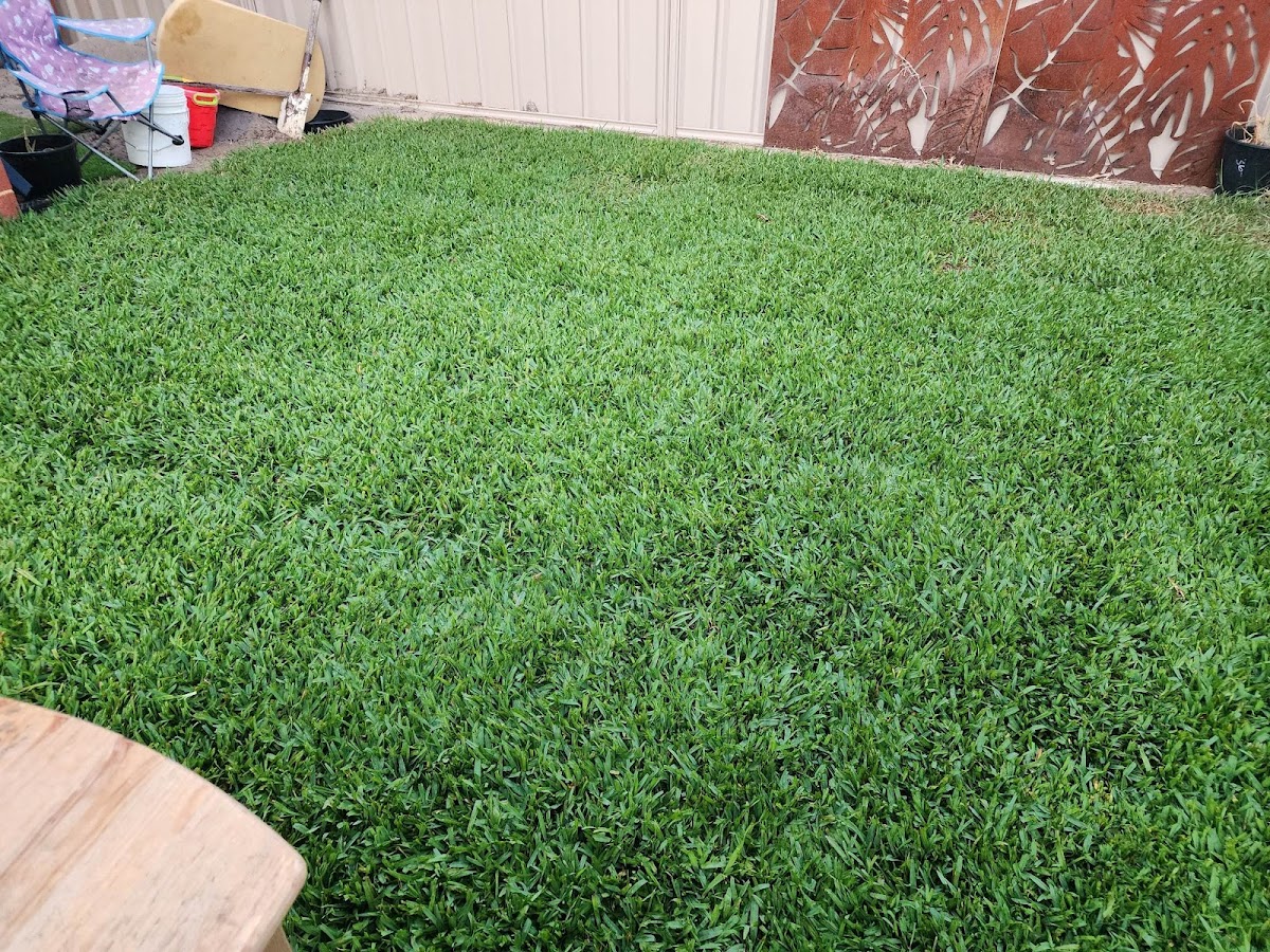 EJS Landscaping and Gardening
