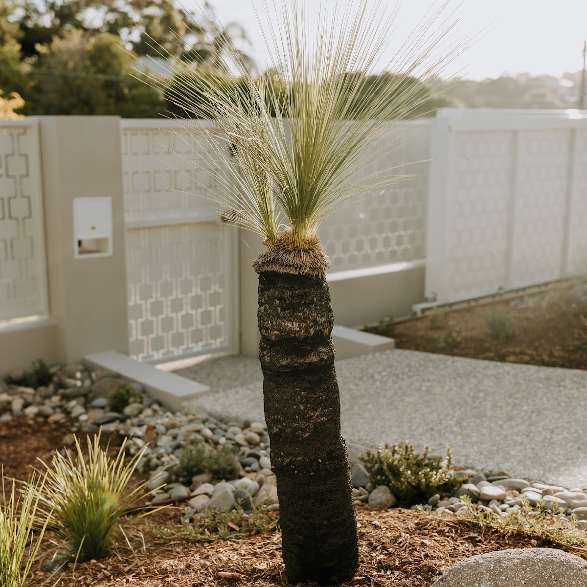 Elleven Landscapes Pty Ltd