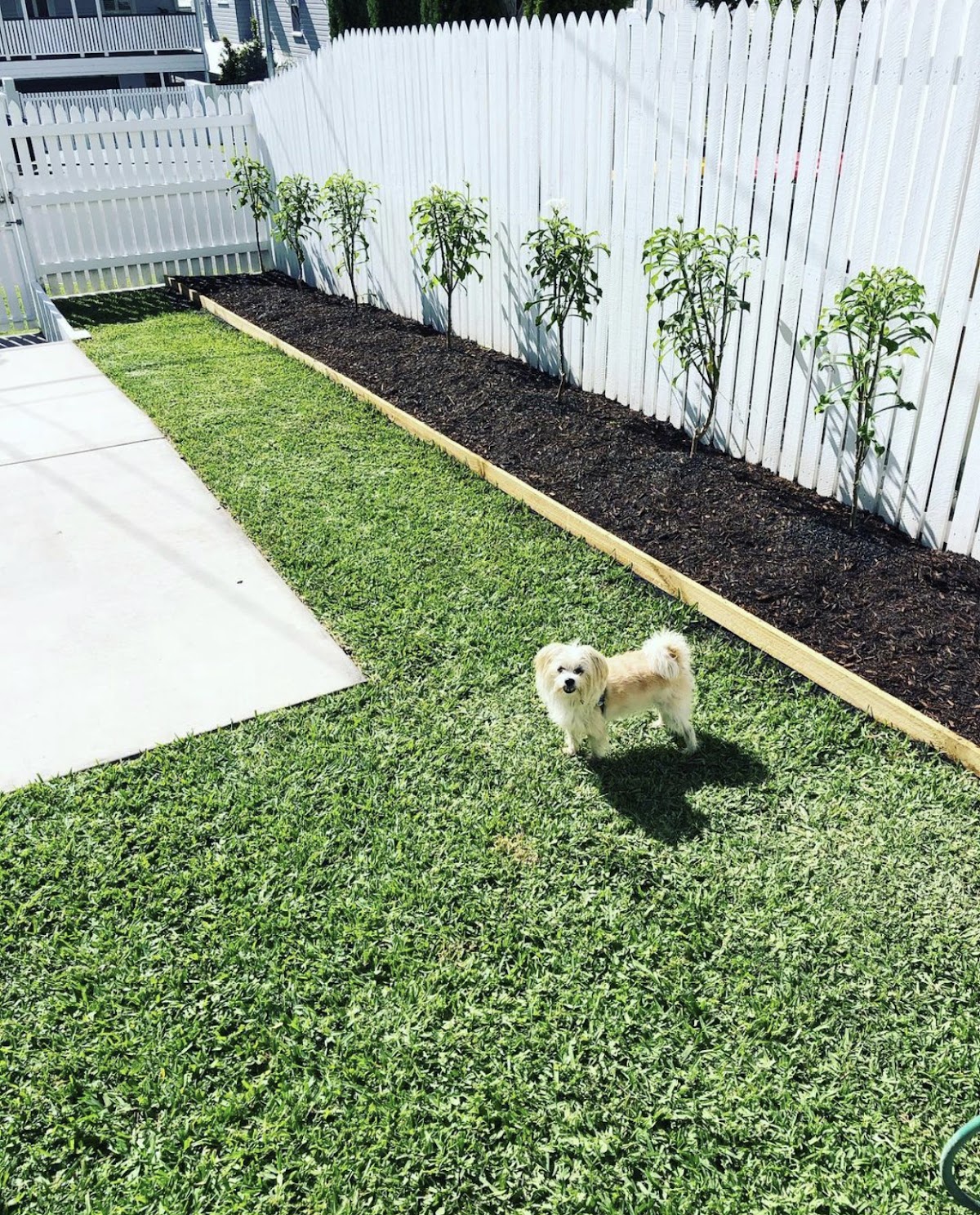 energy gardens