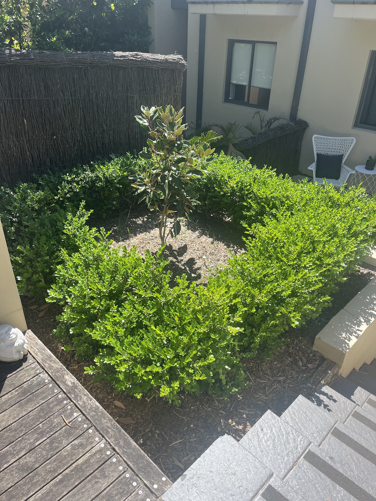Essential Lawn and Garden Care