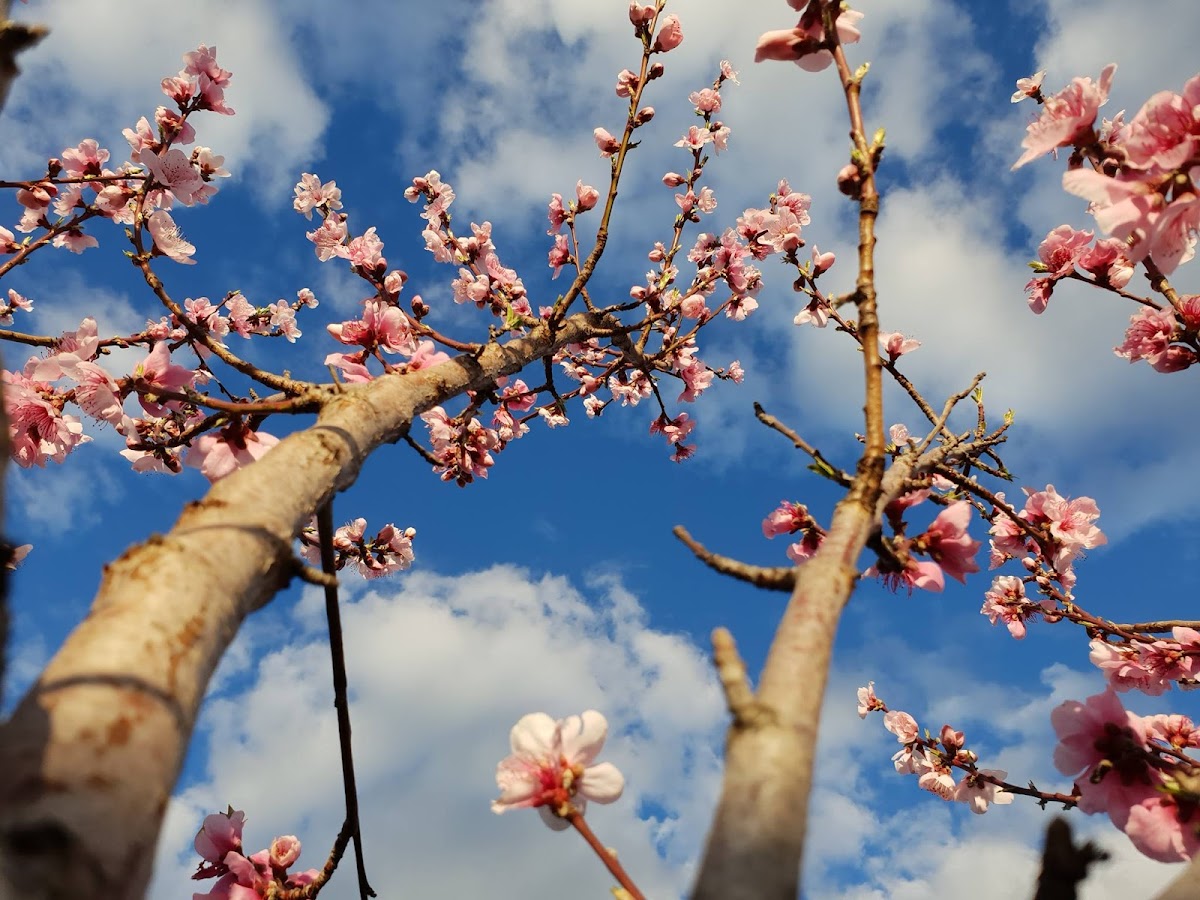 Evolve Gardening And Landscaping