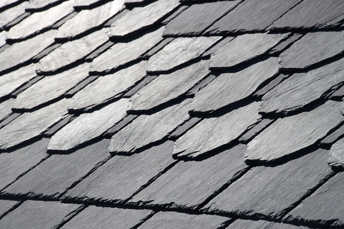 Georges River Roofing - Drew Pybus