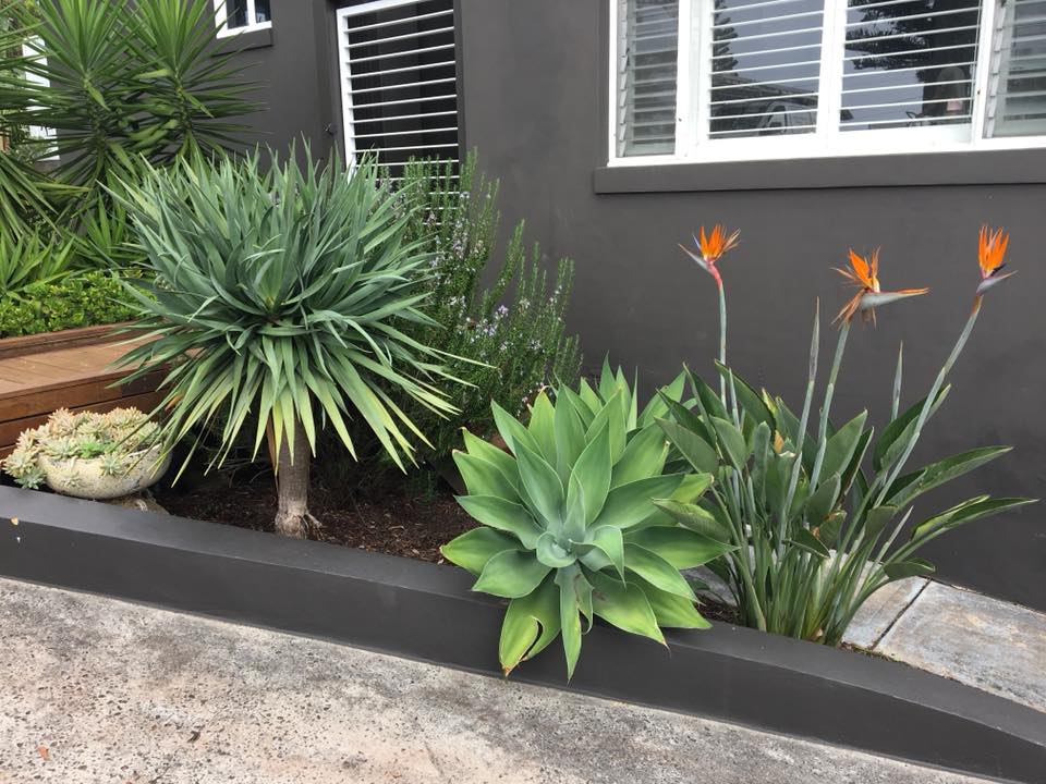 GRANDE Landscapes, Garden Care and Property Maintenance