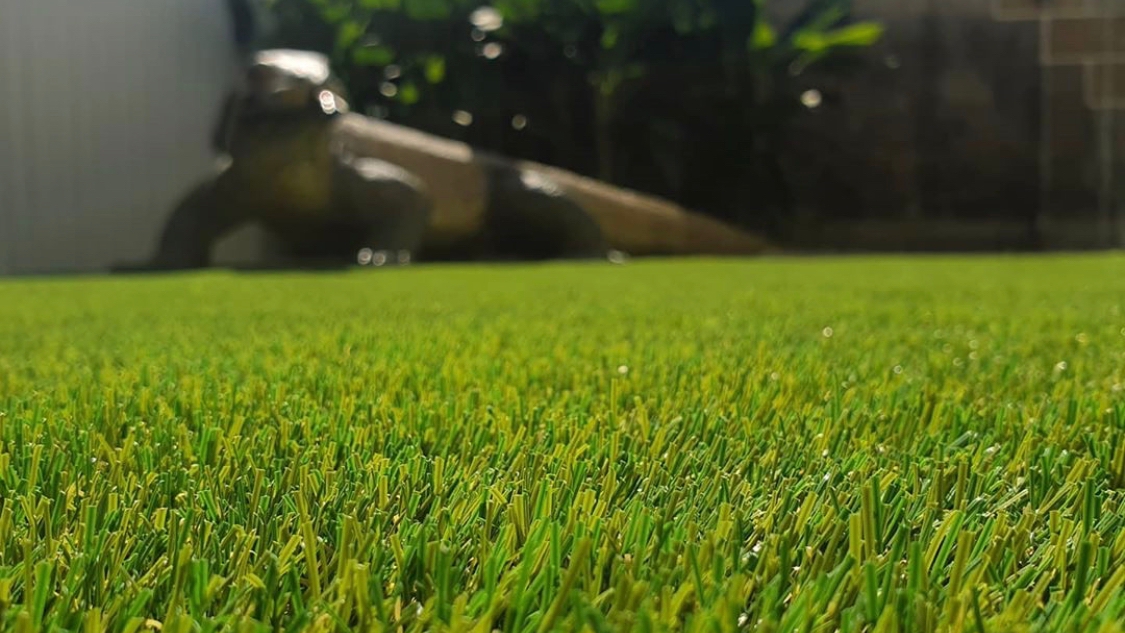 Grass That Lasts | Artificial Grass Gold Coast