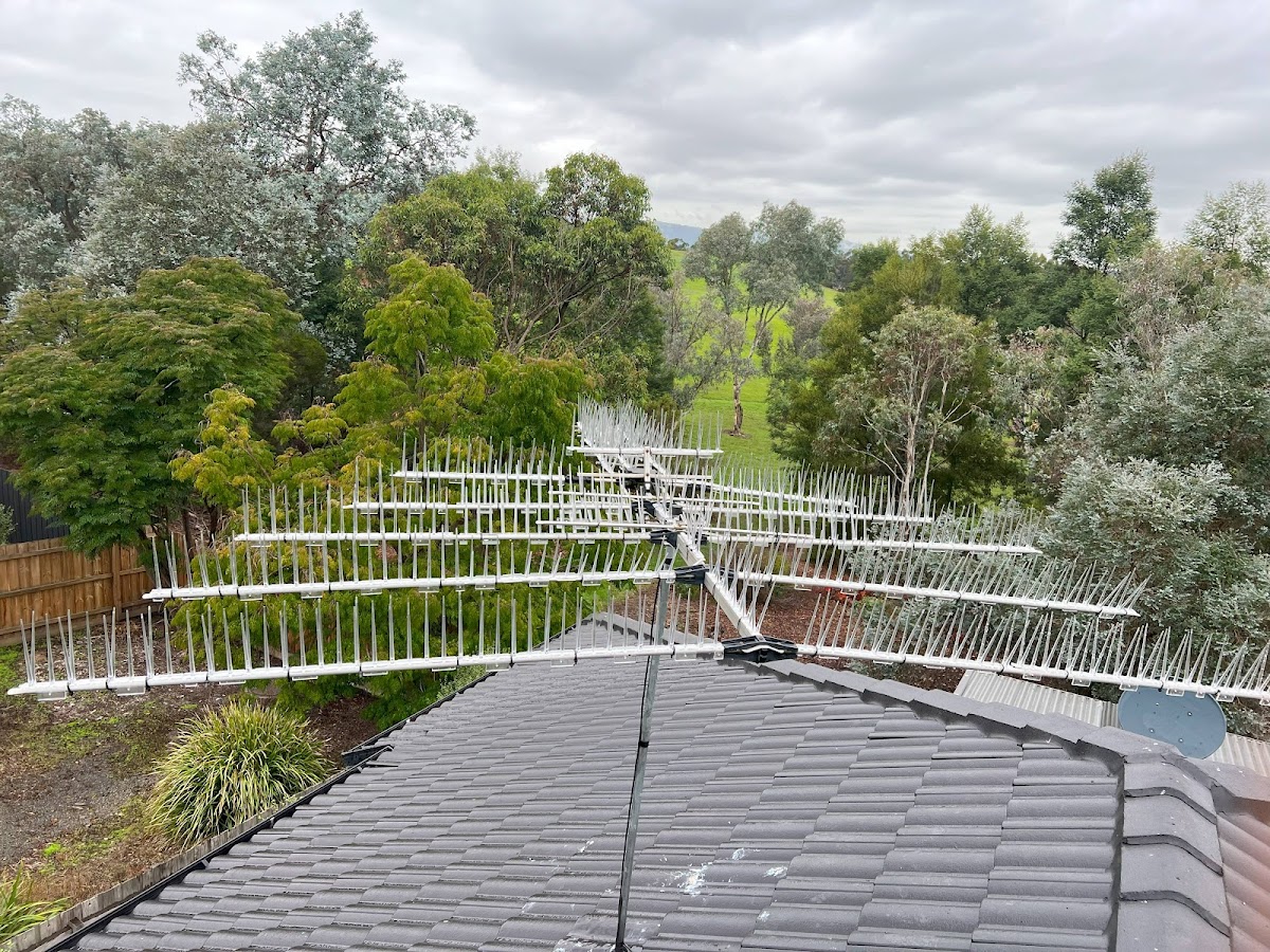 Grayson's Gutter Guard