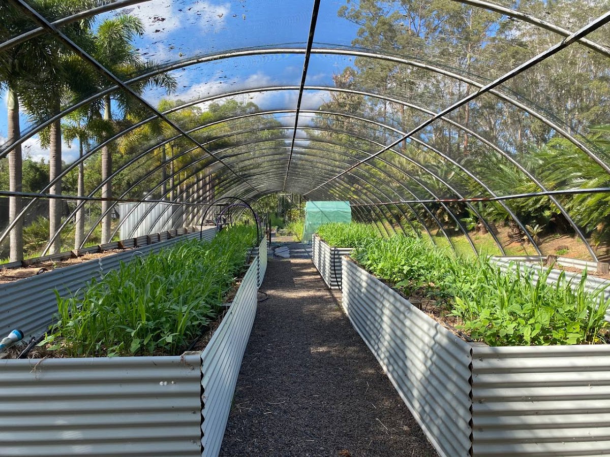Greener Landscaping Queensland