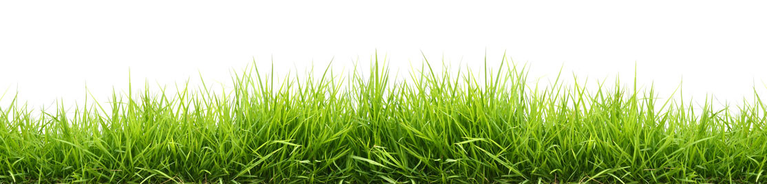 Greenprint Landscapes