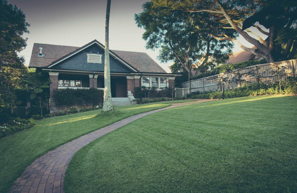 Greenview Landscapes & Lawns