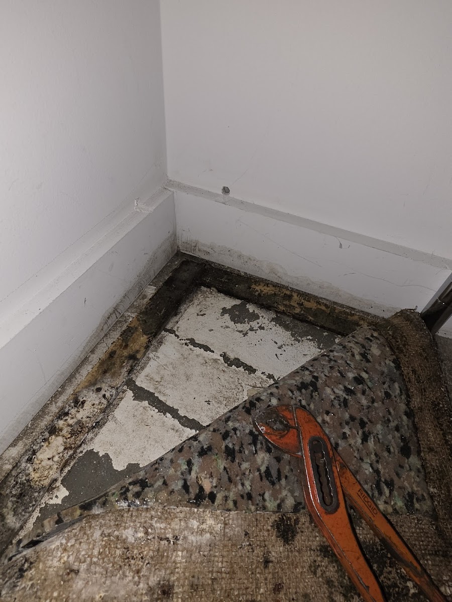 GT Plumbing
