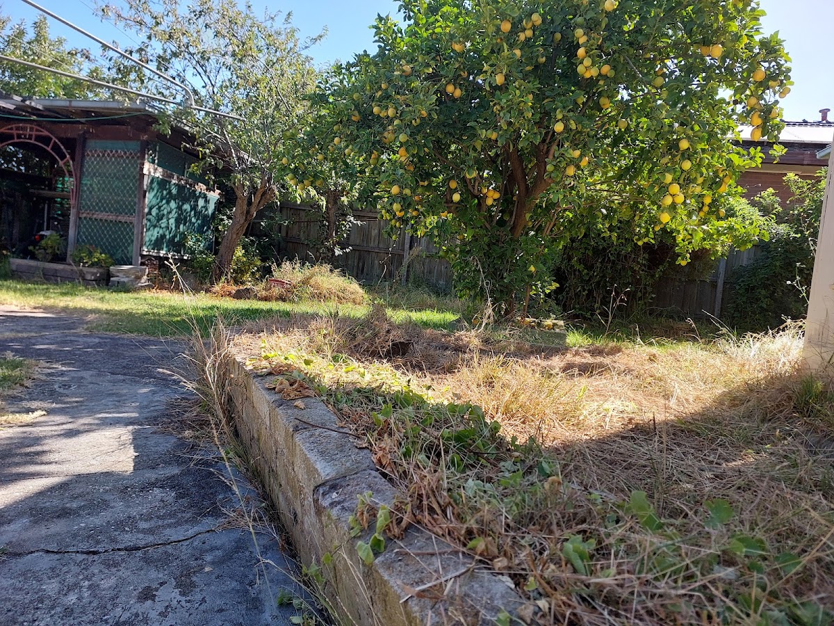 H L Roof Restoration