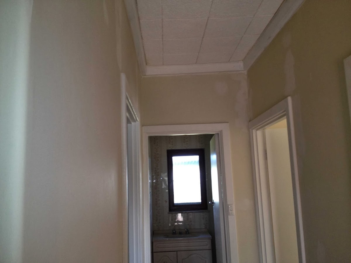 Impact Painters