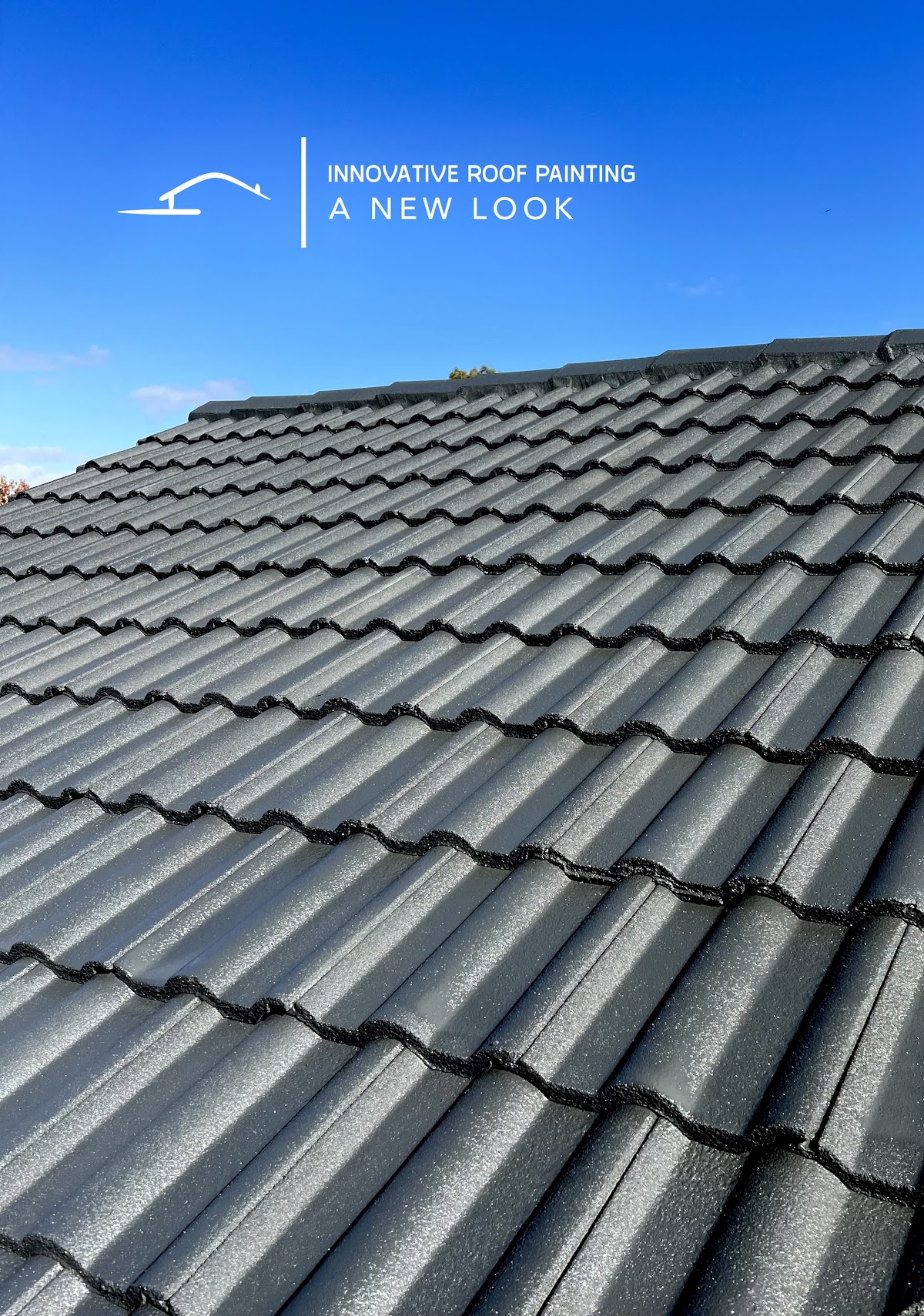 Innovative Roof Painting