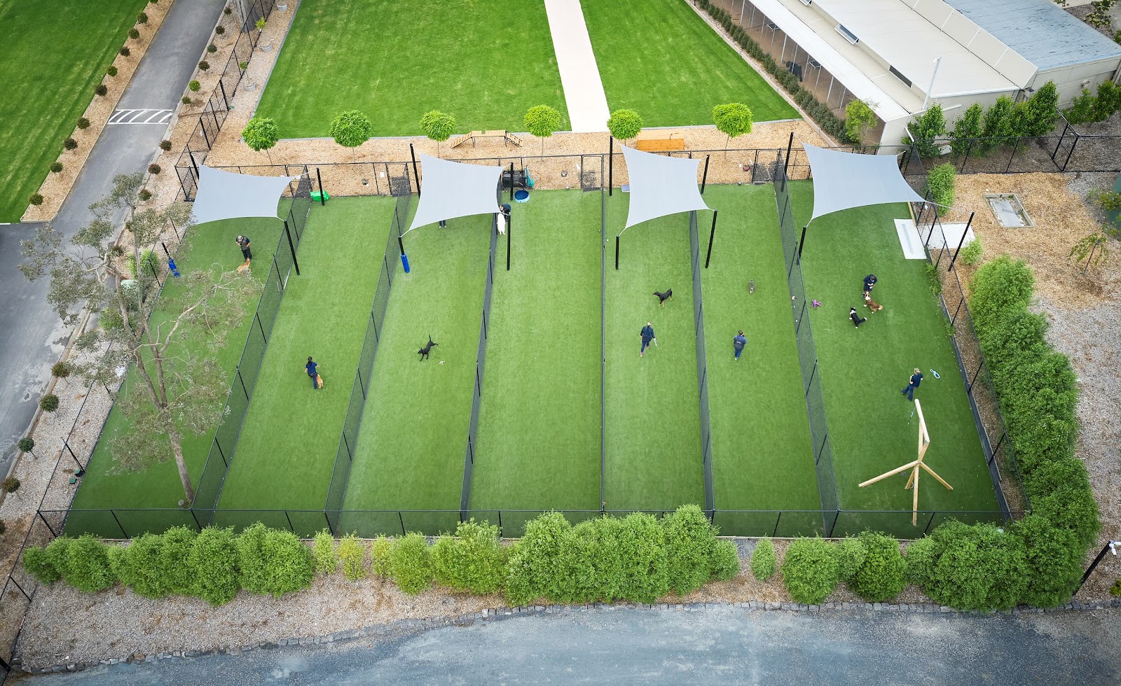 K9 Grass Melbourne - Synthetic Grass for Pets, Artificial Grass for dogs, Pet Friendly Artificial Turf