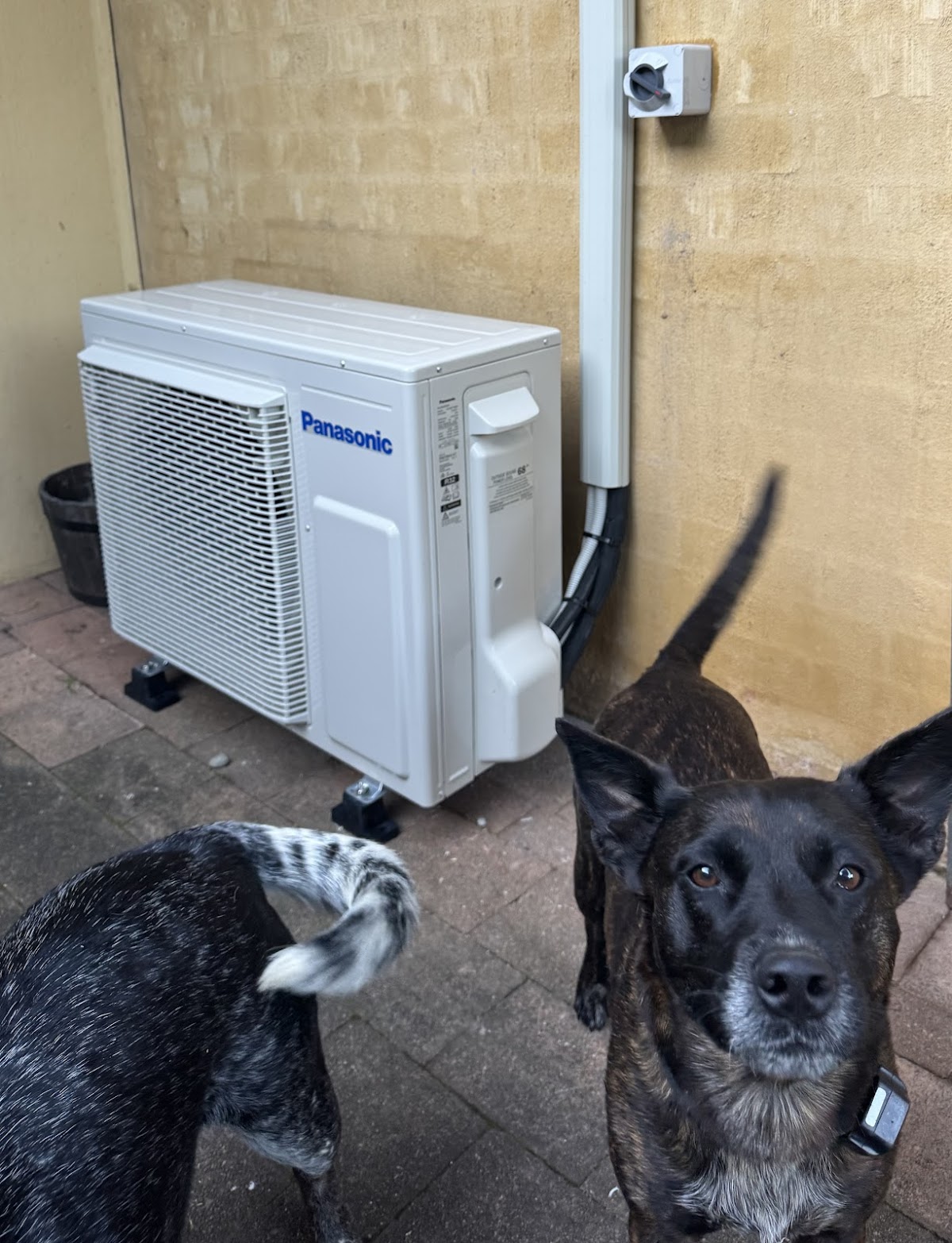 Kiama Electrical Services