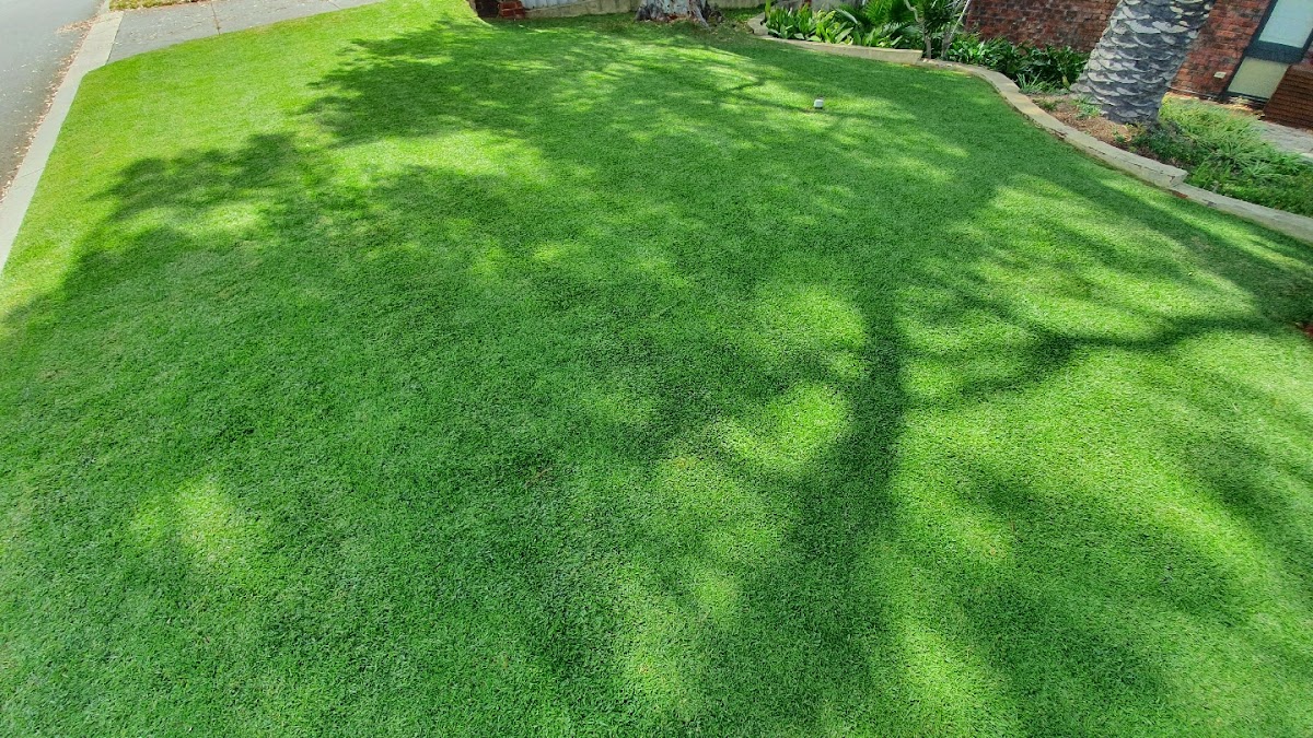 Lawn Aerator Hire Perth
