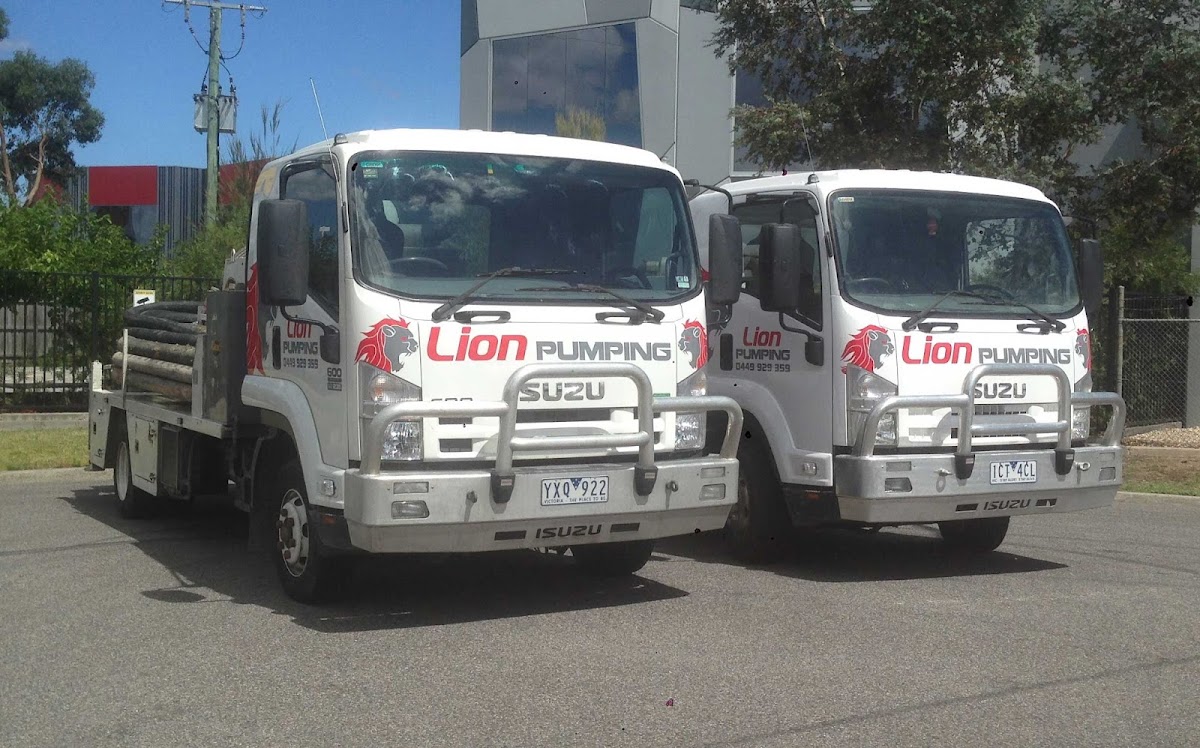 Lion Pumping