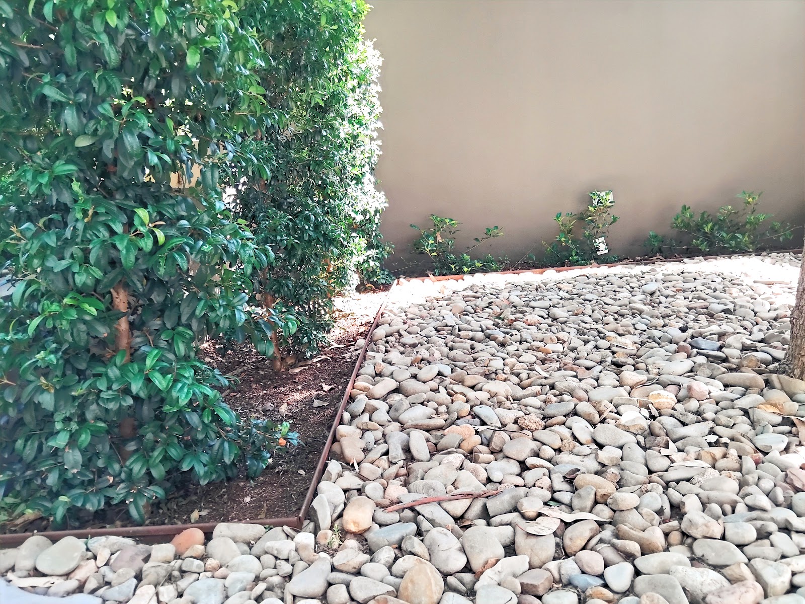 Living Waters Landscape Construction