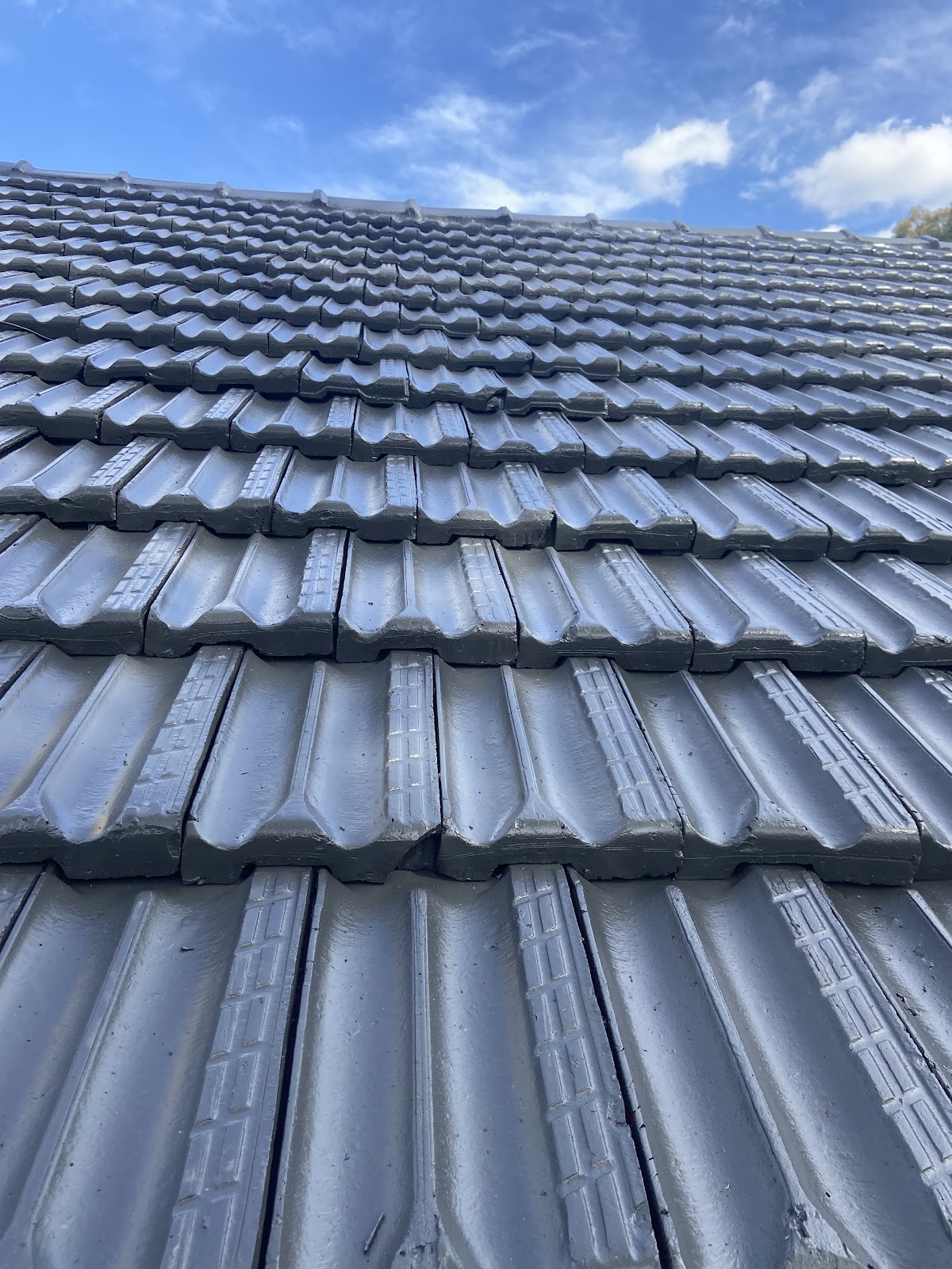 MAK-T Roof repairs