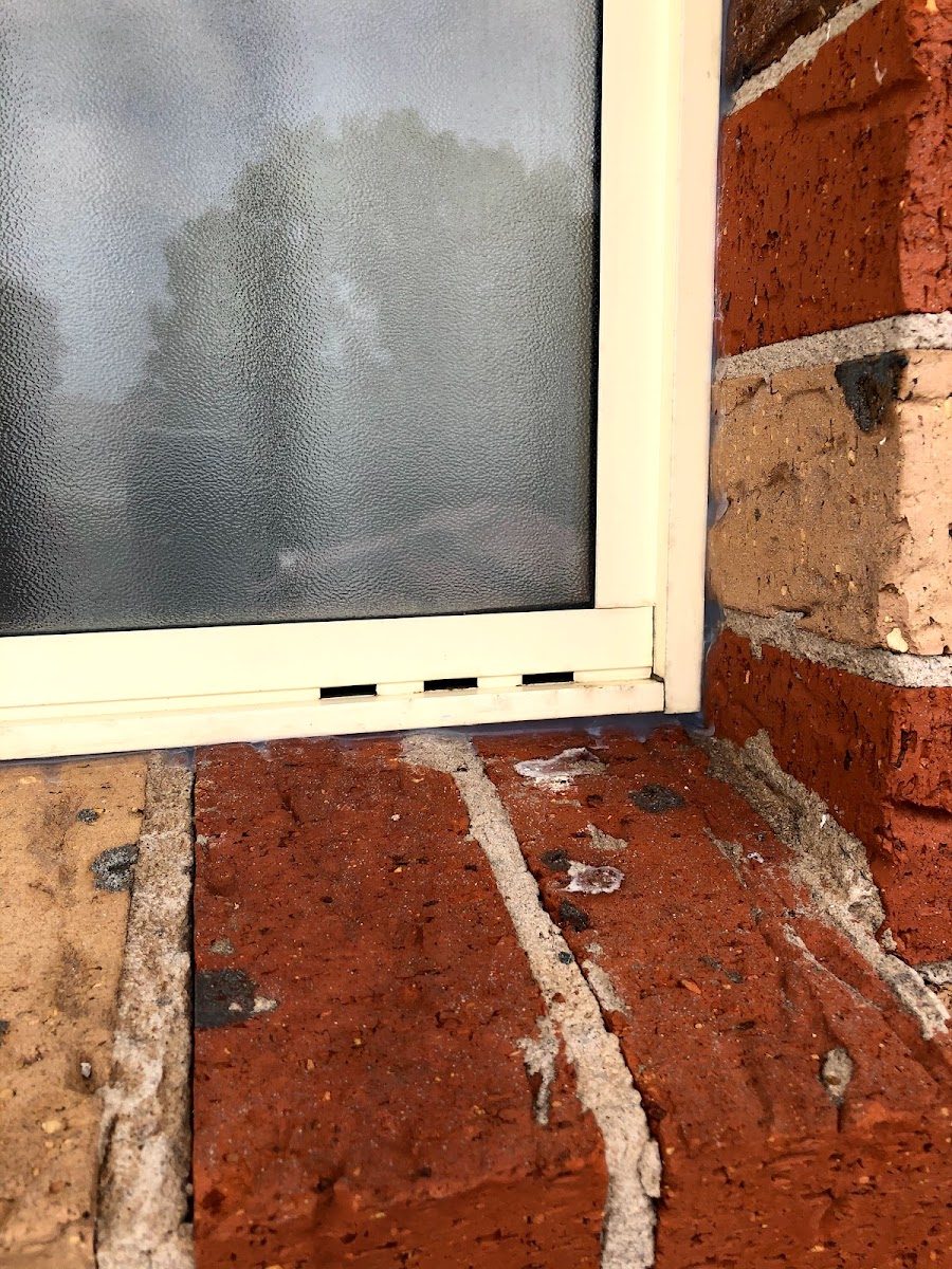 Matthew joints sealer